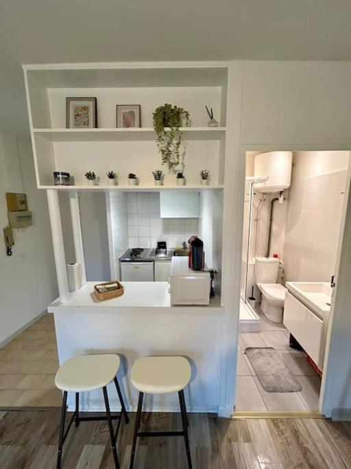 Ferienwohnung Le Douillet, Proche Gare Et Metro Toulouse Exterior foto
